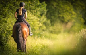 Horse Leasing