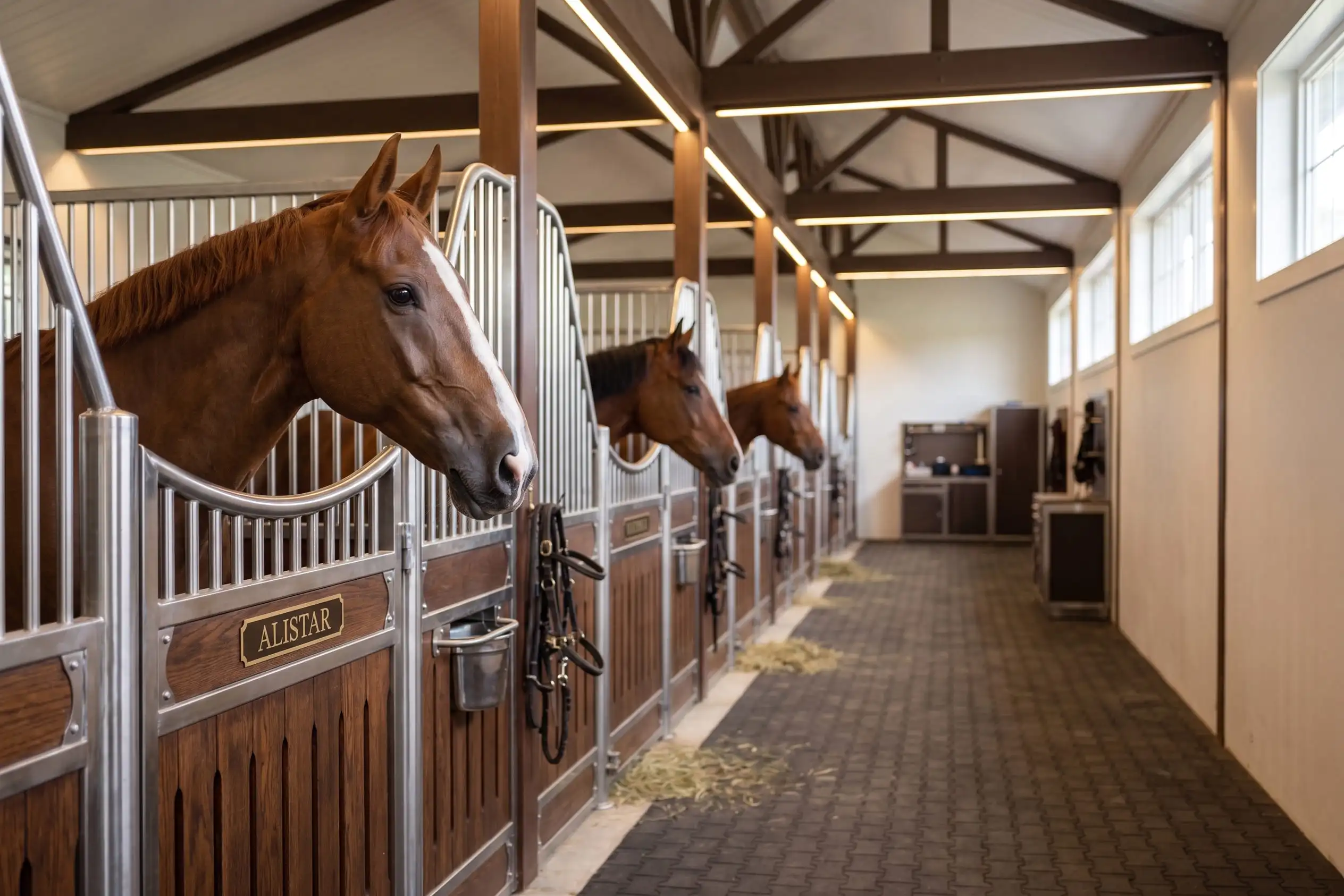 Stable Boarding